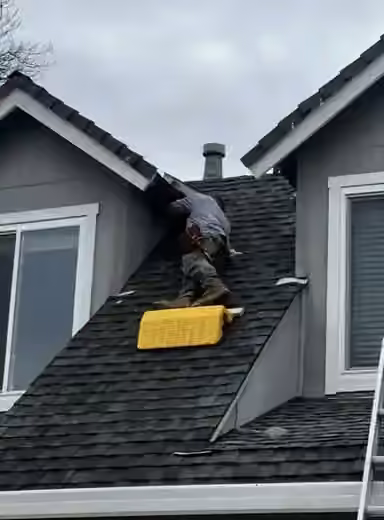Technician working along a roofline during rodent proofing